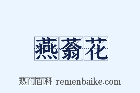 燕蓊花是什么意思的图片